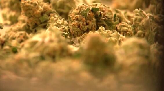 KY3 Digital Extra: Some Springfield dispensaries haven't paid taxes for marijuana sales - Vimarsana News